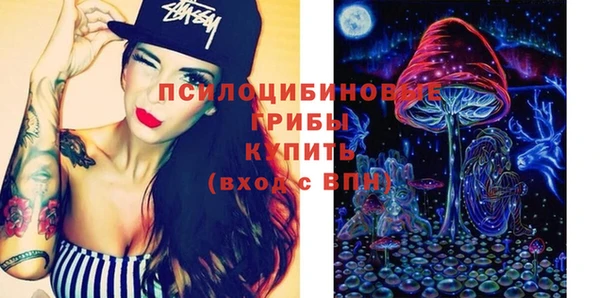 МДПВ Алексеевка